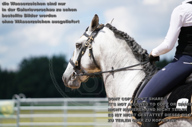s_K3F06385.JPG